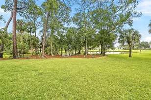 205 Martha Ln, Oldsmar, FL 34677 - Photo 29