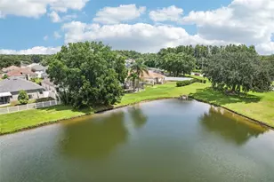 4236 Tarkington Dr, Land O Lakes, FL 34639 - Photo 37