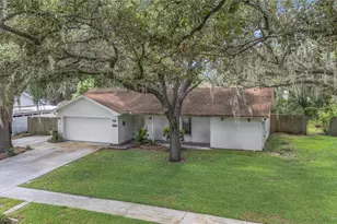 3412 Little Oak St, Valrico, FL 33596 - Photo 3