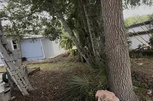 37376 US Hwy 19 N, Palm Harbor, FL 34684 - Photo 17