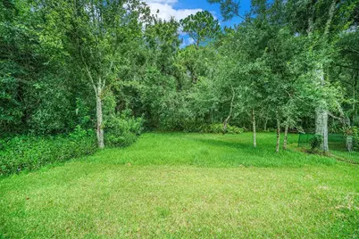 333 Tavernier Drive, Oldsmar, FL 34677 - Photo 25