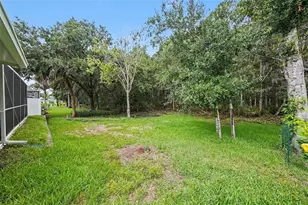 333 Tavernier Dr, Oldsmar, FL 34677 - Photo 21