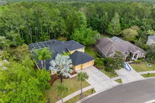 16750 Ivy Lake Dr, Odessa, FL 33556 - Photo 41