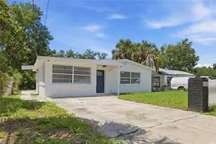 4009 E Powhatan Ave, Tampa, FL 33610 - Photo 3