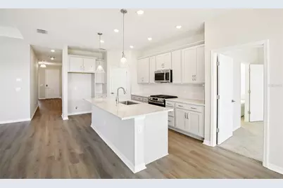 5911 Fresh Flora Drive, Wimauma, FL 33598 - Photo 9