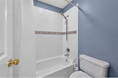 2928 Chelsea Woods Drive, Valrico, FL 33596 - Photo 61