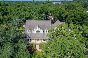 2928 Chelsea Woods Dr, Valrico, FL 33596 - Photo 9