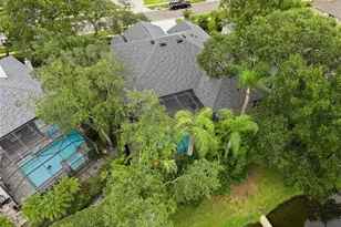 2862 Deer Run, Tarpon Springs, FL 34688 - Photo 75