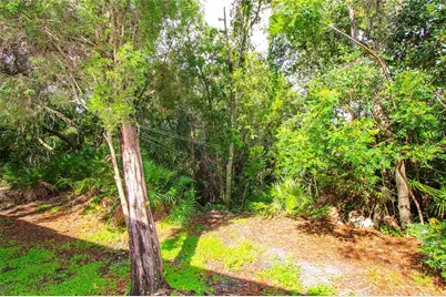 2722 Conch Hollow Drive, Brandon, FL 33511 - Photo 25