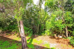 2722 Conch Hollow Dr, Brandon, FL 33511 - Photo 25