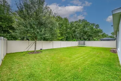 17651 Bright Wheat Drive, Lithia, FL 33547 - Photo 3