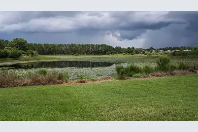 19576 Breynia Drive, Lutz, FL 33558 - Photo 47