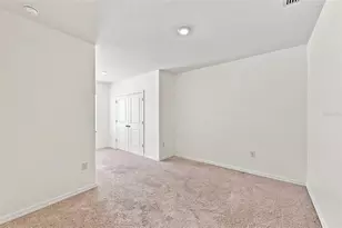 3144 Pleasant Willow Ct, Brandon, FL 33511 - Photo 23