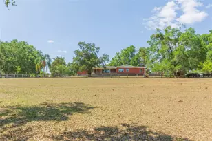 34211 Blanton Rd, Dade City, FL 33523 - Photo 71