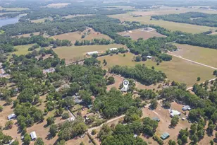 34211 Blanton Rd, Dade City, FL 33523 - Photo 93