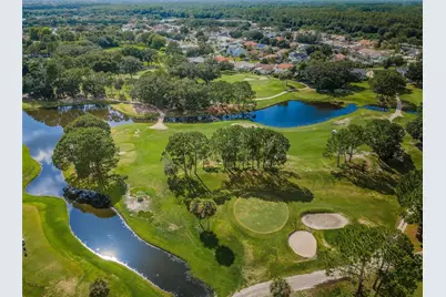 11916 Snapdragon Road, Tampa, FL 33635 - Photo 59