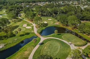 11916 Snapdragon Rd, Tampa, FL 33635 - Photo 55