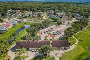 11916 Snapdragon Rd, Tampa, FL 33635 - Photo 61
