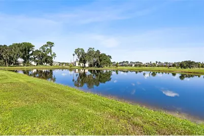 14886 Summer Branch Drive, Lithia, FL 33547 - Photo 43
