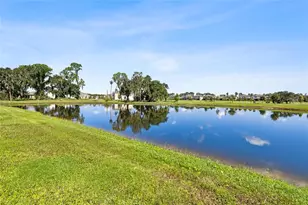 14886 Summer Br Dr, Lithia, FL 33547 - Photo 43