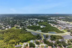 24331 Crosscut Rd, Lutz, FL 33559 - Photo 27