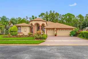 11421 Strathaven Ct, Trinity, FL 34655 - Photo 5