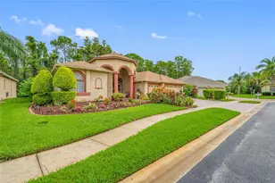 11421 Strathaven Ct, Trinity, FL 34655 - Photo 87