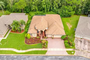 11421 Strathaven Ct, Trinity, FL 34655 - Photo 73