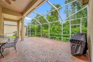 11421 Strathaven Ct, Trinity, FL 34655 - Photo 55
