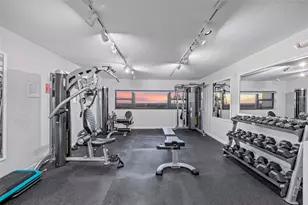 4141 Bayshore Blvd, Tampa, FL 33611 - Photo 29