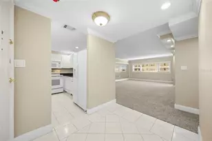 4141 Bayshore Blvd, Tampa, FL 33611 - Photo 3