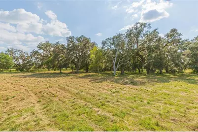 16225 Bellamy Brothers Boulevard, Dade City, FL 33525 - Photo 47