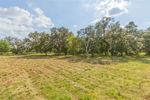 16225 Bellamy Brothers Blvd, Dade City, FL 33525 - Photo 47