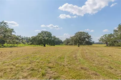 16225 Bellamy Brothers Boulevard, Dade City, FL 33525 - Photo 57