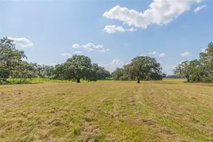 16225 Bellamy Brothers Blvd, Dade City, FL 33525 - Photo 57
