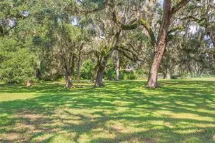 16225 Bellamy Brothers Blvd, Dade City, FL 33525 - Photo 41