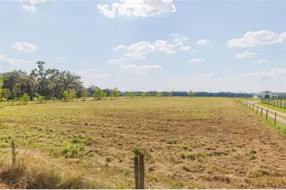 16225 Bellamy Brothers Boulevard, Dade City, FL 33525 - Photo 65