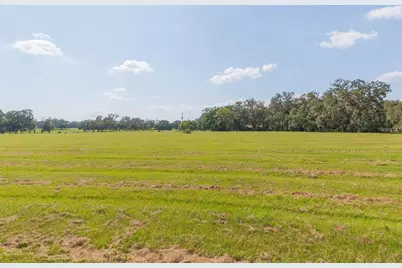 16225 Bellamy Brothers Boulevard, Dade City, FL 33525 - Photo 49