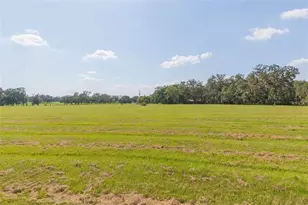16225 Bellamy Brothers Blvd, Dade City, FL 33525 - Photo 49