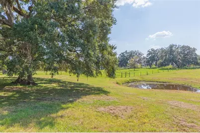 16225 Bellamy Brothers Boulevard, Dade City, FL 33525 - Photo 43