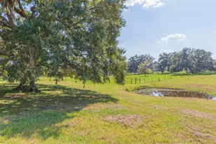 16225 Bellamy Brothers Blvd, Dade City, FL 33525 - Photo 43