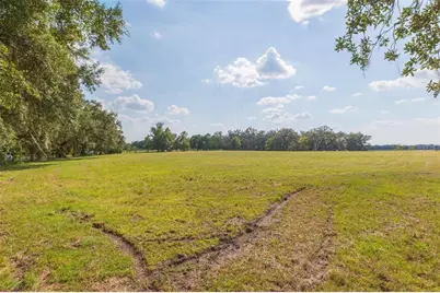 16225 Bellamy Brothers Boulevard, Dade City, FL 33525 - Photo 69