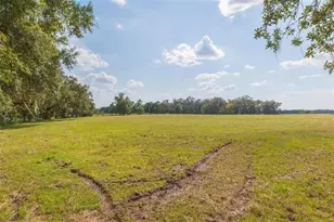 16225 Bellamy Brothers Blvd, Dade City, FL 33525 - Photo 69