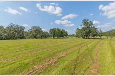 16225 Bellamy Brothers Boulevard, Dade City, FL 33525 - Photo 45