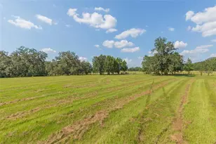 16225 Bellamy Brothers Blvd, Dade City, FL 33525 - Photo 45