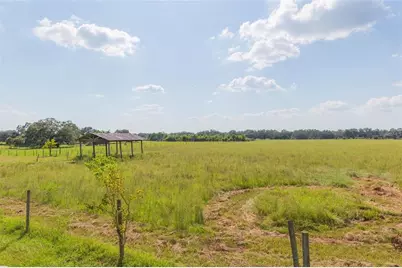 16225 Bellamy Brothers Boulevard, Dade City, FL 33525 - Photo 63