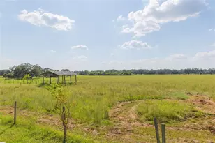 16225 Bellamy Brothers Blvd, Dade City, FL 33525 - Photo 63