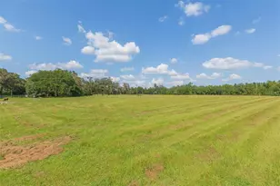 16225 Bellamy Brothers Blvd, Dade City, FL 33525 - Photo 55
