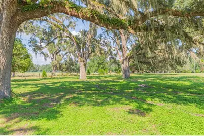 16225 Bellamy Brothers Boulevard, Dade City, FL 33525 - Photo 39
