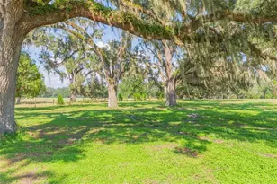 16225 Bellamy Brothers Blvd, Dade City, FL 33525 - Photo 39